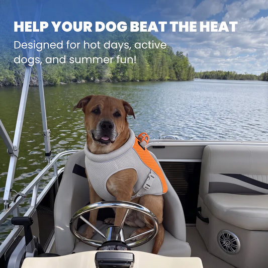 Cooling Vest