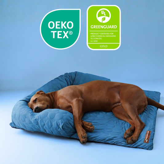 Cooling Sofa Bed