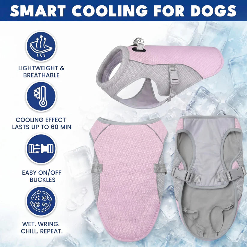 Cooling Vest