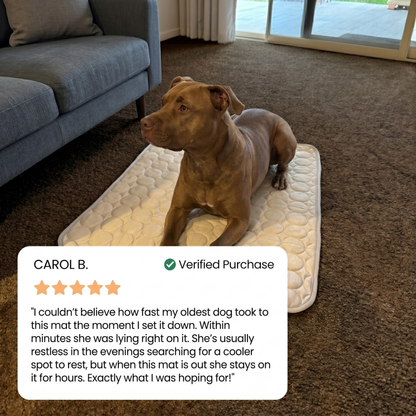 Cooling Mat