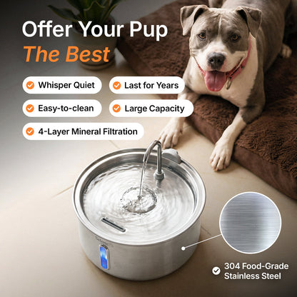 Dog Water Fountain