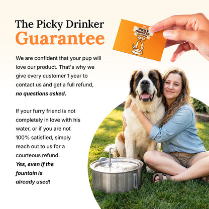 Dog Water Fountain