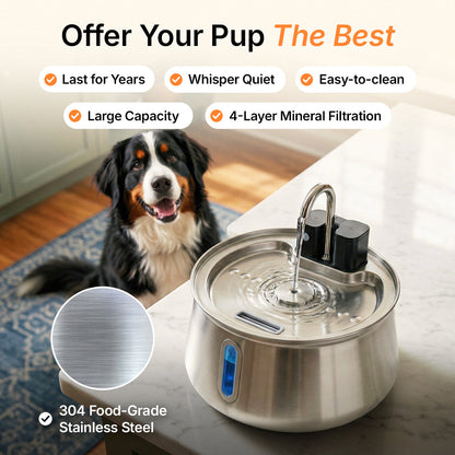Dog Water Fountain