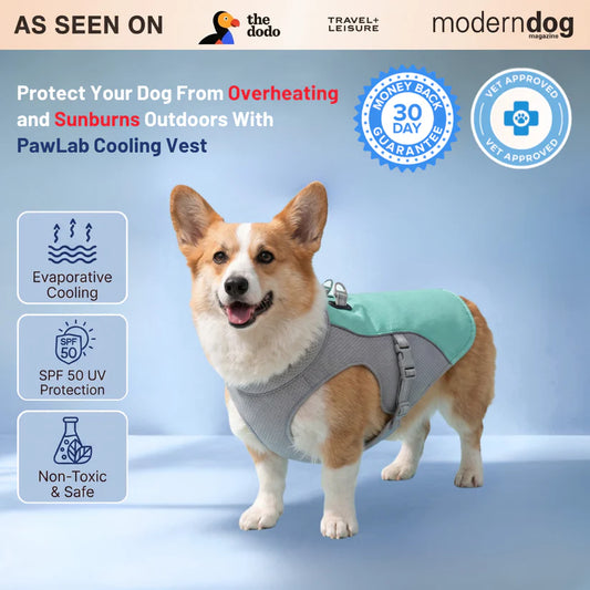 Cooling Vest